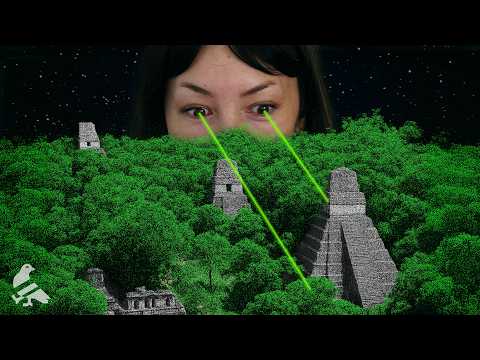 The forest was full of cities we couldn't see