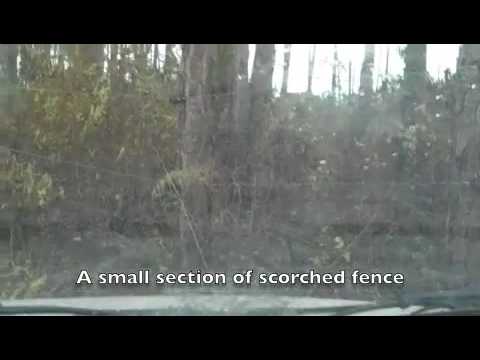 New Year Fire on Abaco Wild Horse Preserve