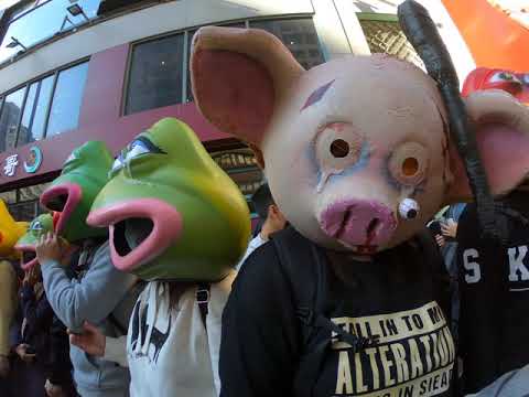 Pepe masks on the 8 December march