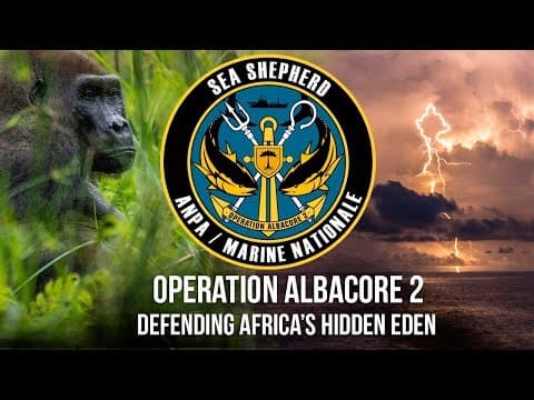 Operation Albacore 2: Defending Africa's Hidden Eden