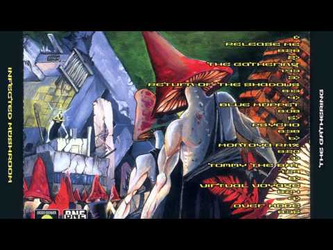 Infected Mushroom - Psycho