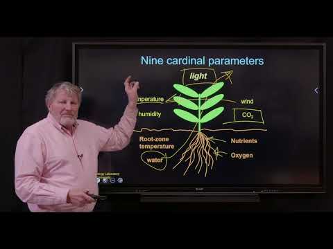 Bruce Bugbee on indoor hemp production