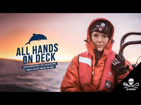 The Sea Shepherd Crew Needs YOU!
