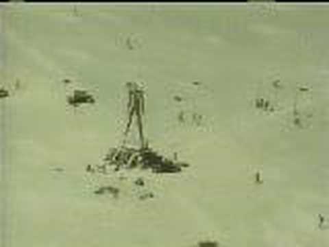 Burning Man 1996 - Fly Over