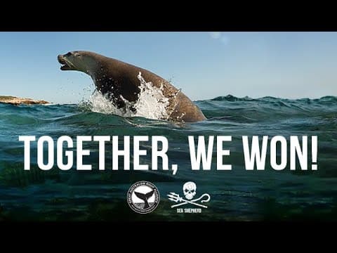 Together, we won!