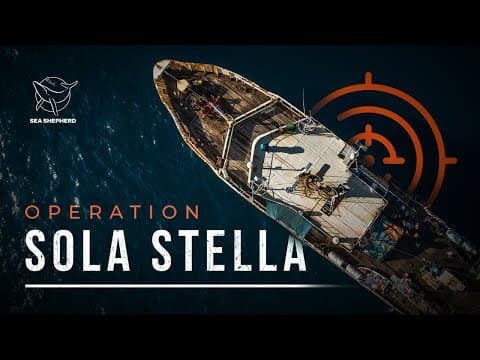 How illegal fishing in Liberia ENDED
