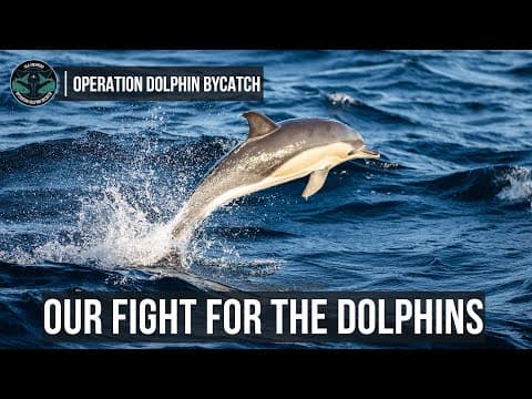 Our Fight for the Dolphins