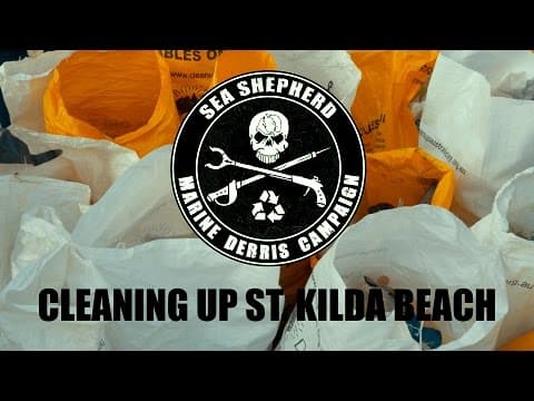 Marine Debris Campaign: Cleaning up the Sea Shepherd way at St Kilda Beach