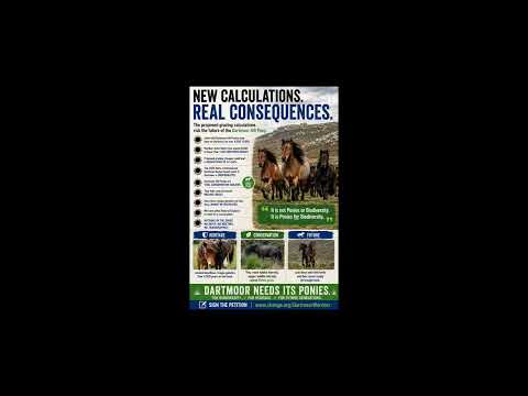 Radio Interview: Threat to Dartmoor Hill Ponies by Natural England