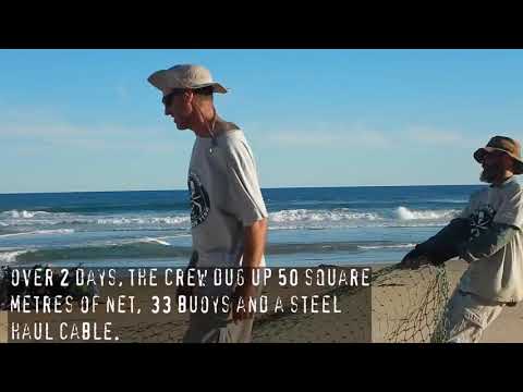 162kgs of net dug out from remote beach in Victoria