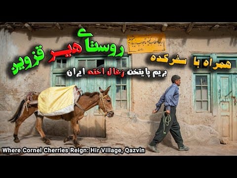 روستای هیر قزوین پایتخت زغال اخته ایرانHir village in Qazvin is the capital of cornel cherry in Iran