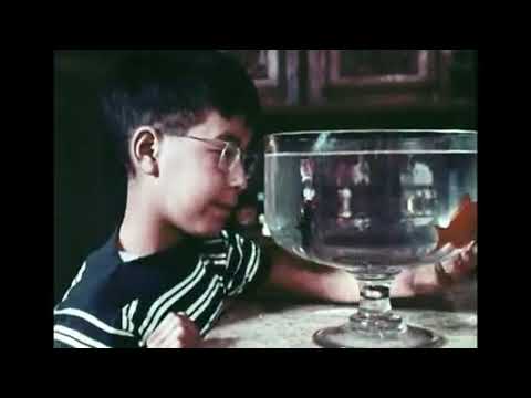 The Golden Fish / Histoire d'un poisson rouge (1959 French Short Film)
