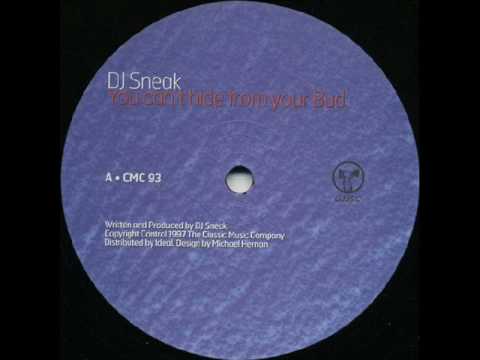 DJ Sneak - "You Can’t Hide From Your Bud"