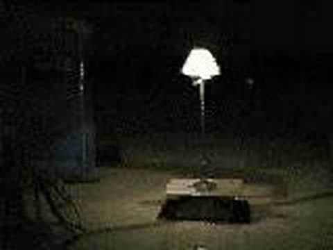Burning Man 1996 - Remote Light