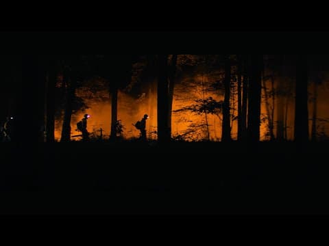 Made for America - STIHL