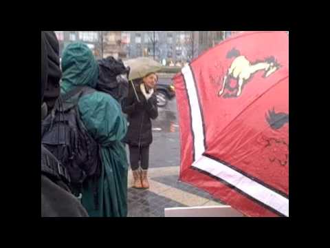 NYC protest for wild horses and burros