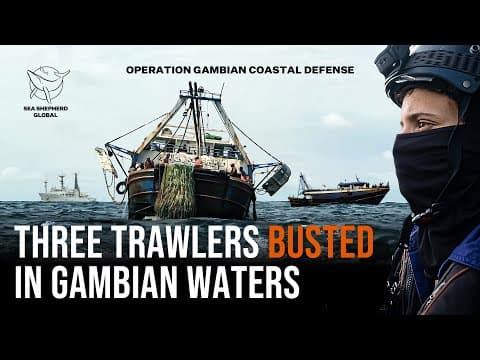 Three Trawlers Busted in Gambian Waters