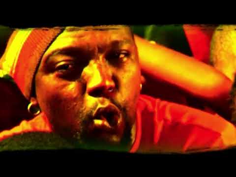 Zola - Stars