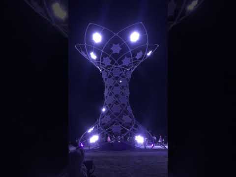 Illumina, full sequence - 2017