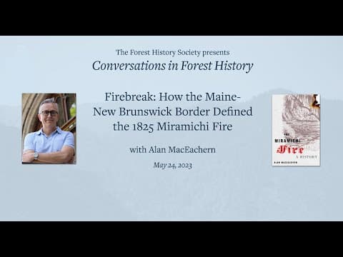The Miramichi Fire