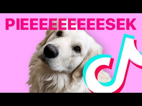 BULSJARZ - PIESEK (TikTok) [Pełna Wersja]