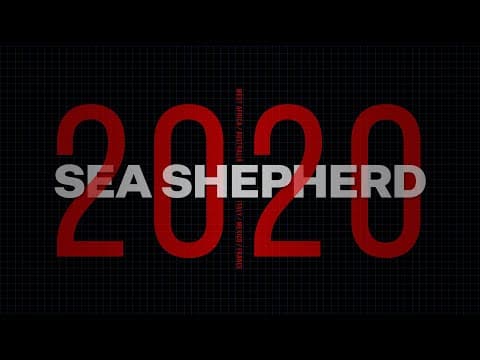 Sea Shepherd 2020: A Year of Direct-Action for the Ocean