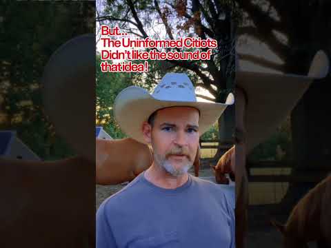 Trump Beef & what BLM and wild Mustangs aren’t telling you! #wildhorses #blm #trumpnews #beef