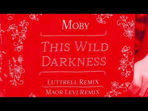 Moby - This Wild Darkness (Luttrell Remix) (Official Audio)