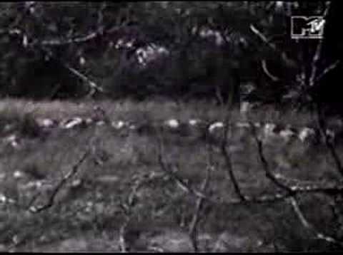 Butthole Surfers - The Hurdy Gurdy Man (Hi-Fi VideoClip 1991