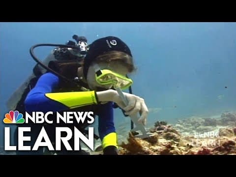 Ocean acidification