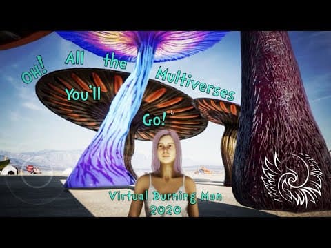 The Multiverse - virtual Burning Man, 2020