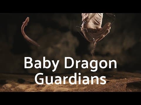 The baby olms of Postojna Cave