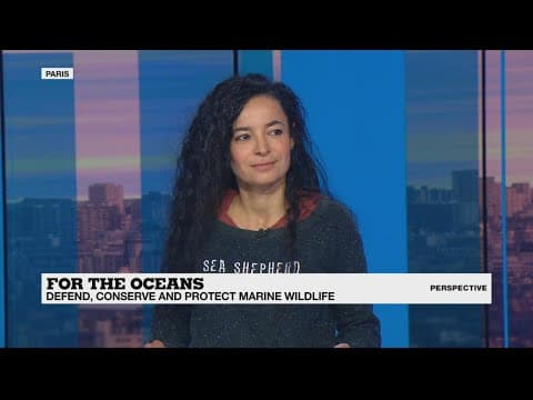 Sea Shepherd France: 'Do we really need all the fish on our plates?'