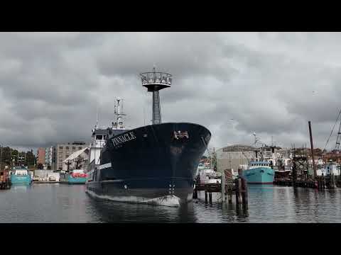 The Bering Sea fishery collapses