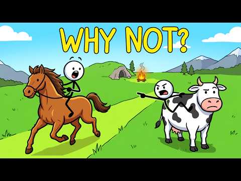 Why Humans Ride Horses and Not Cows?