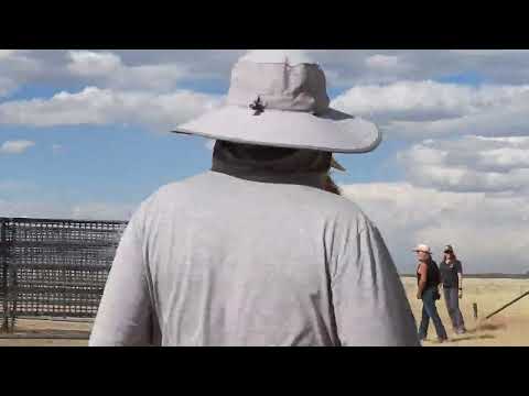 North Landers Complex, WY BLM Wild Horse Round-Up 7/1/24 Video 27 - Scene and Herd Wild Horses