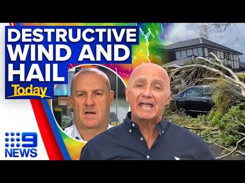 The 2020 Melbourne–Sydney hail