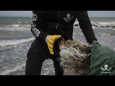 Sea Shepherd is Back in the Baltic Sea