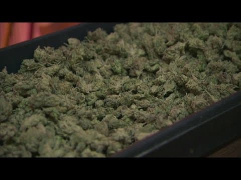 What the rescheduling of cannabis actually means