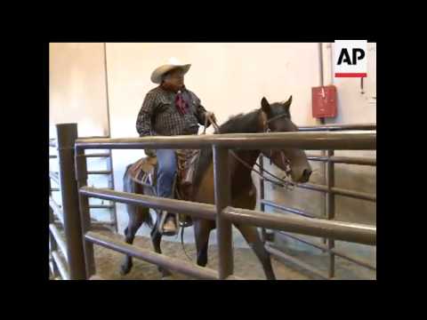 Trainers in Fort Worth, Texas were given 3 months to work with a group of wild horses, captured off