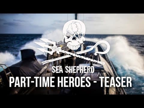 Fighting Poaching on the Open Ocean: A Great Big Film Teaser