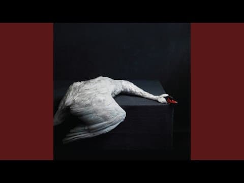 Amenra - "A Solitary Reign"