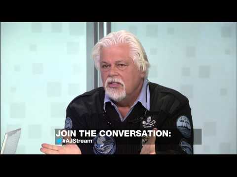 The Stream - Captain Paul Watson on the killing of sharks