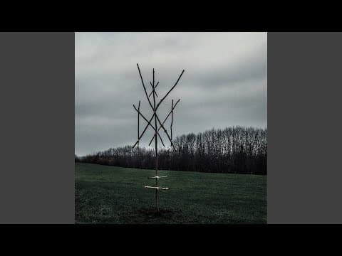 Wiegedood - Belgian black metal