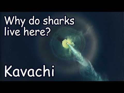 Sharks Are Living Inside This Underwater Volcano | Kavachi