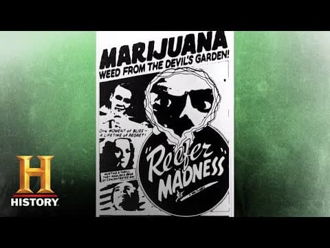 How Cannabis Became the World's Most Controversial Plant