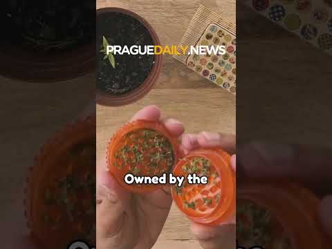 New Czech rules on cannabis cultivation and possession
