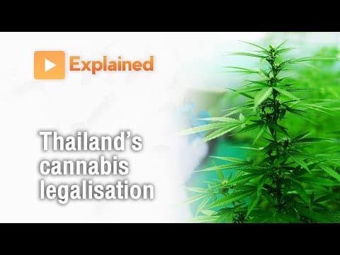 Explained: Thailand's Cannabis Legalisation