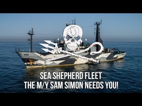 Sea Shepherd Fleet: The M/Y Sam Simon Needs You!