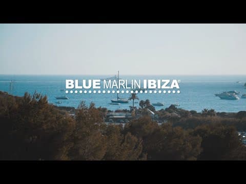 BLUE MARLIN IBIZA - YOUR SCENE
